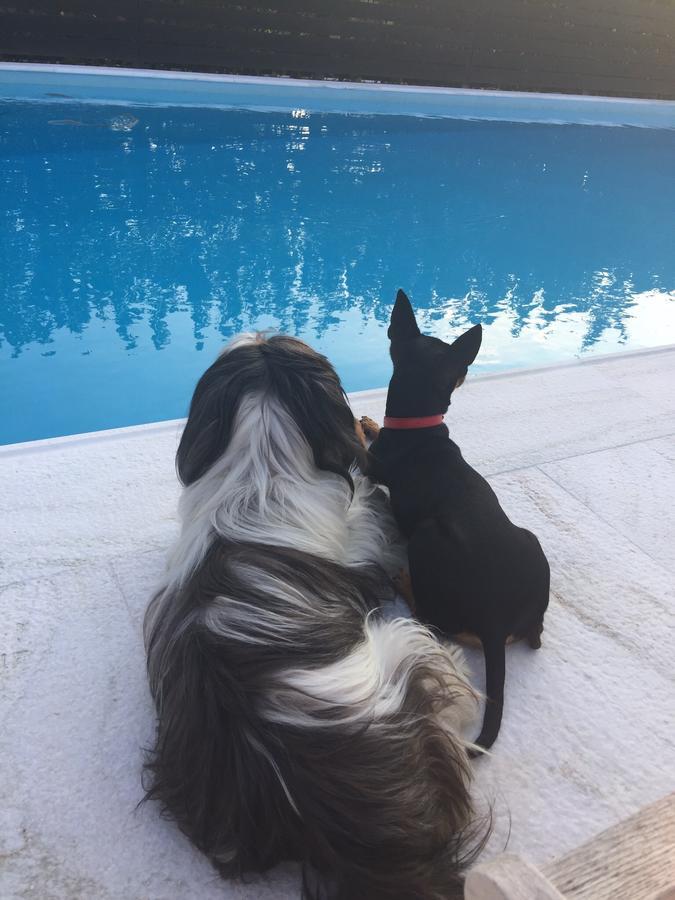 Villa Glyfada Spilia  Luaran gambar